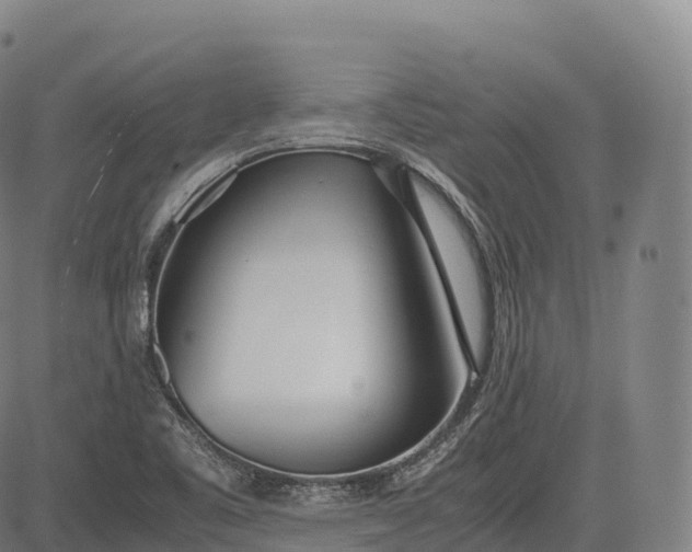 X0000083011461200702161539