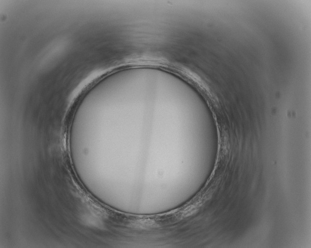 X0000083011462200702161539