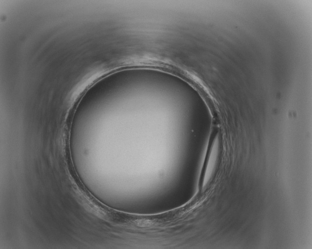 X0000083011463200702161539