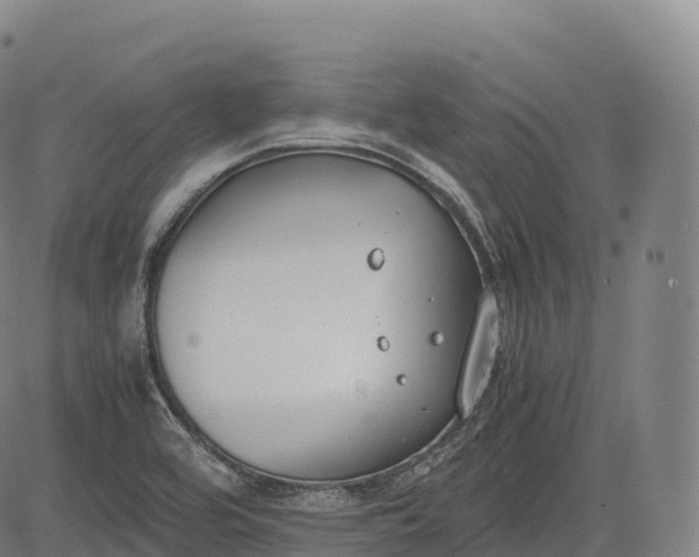 X0000083011464200702161539