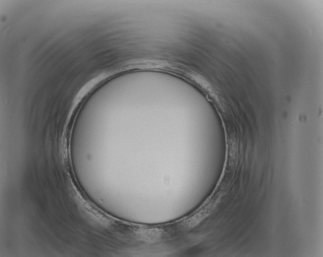 X0000083011466200702161539