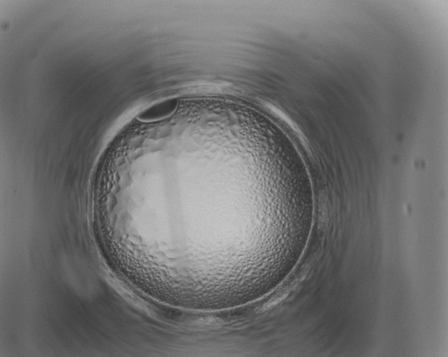 X0000083011467200702161539