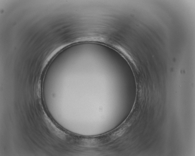 X0000083011468200702161539