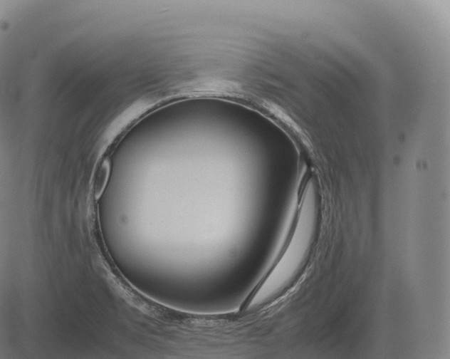 X0000083011469200702161539