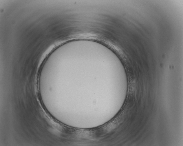 X0000083011470200702161539