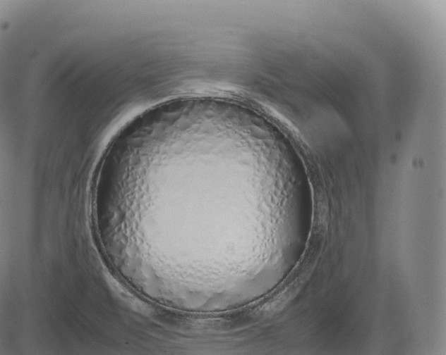 X0000083011471200702161539