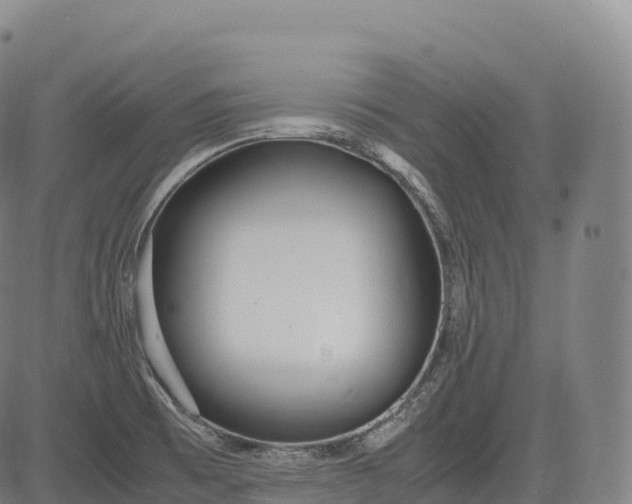 X0000083011473200702161539