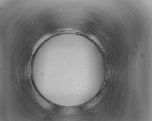 X0000083011474200702161539