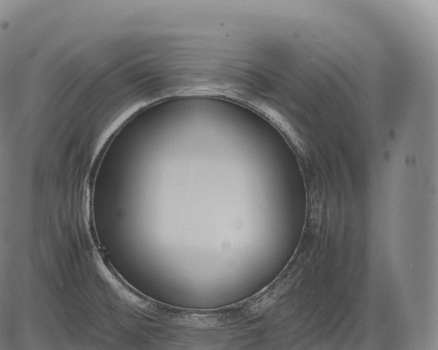 X0000083011476200702161539