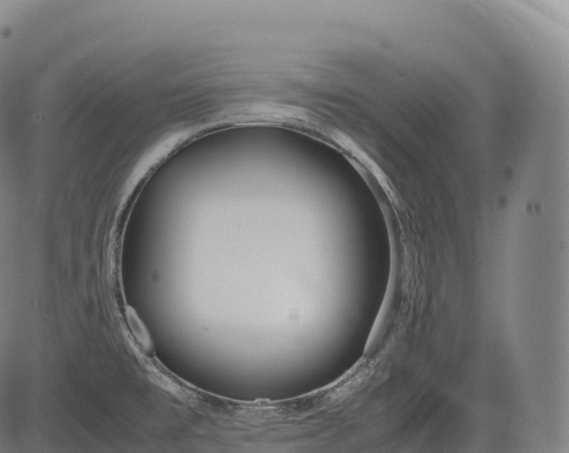 X0000083011477200702161539