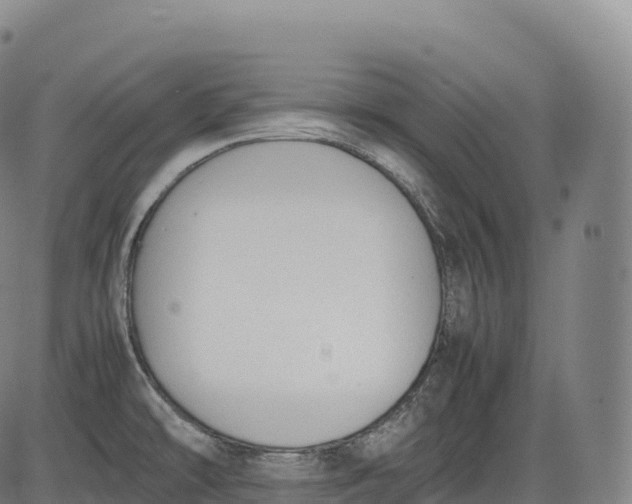 X0000083011478200702161539