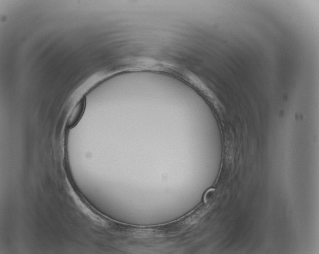 X0000083011479200702161539