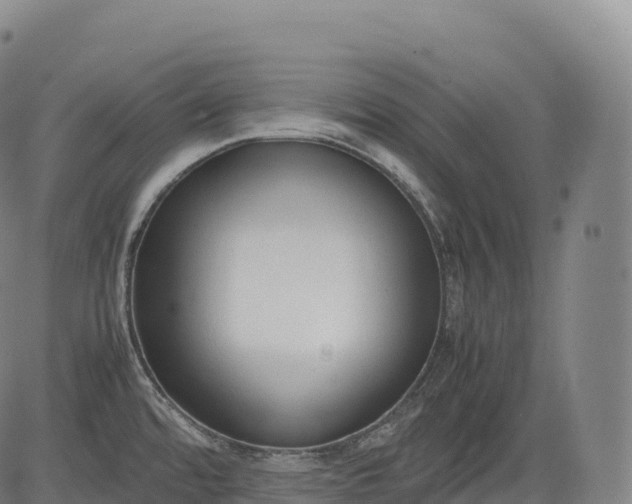 X0000083011480200702161539