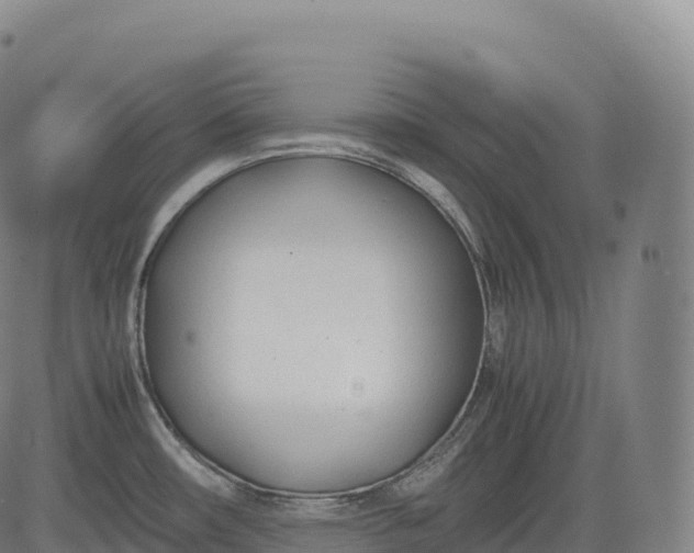 X0000083011482200702161539