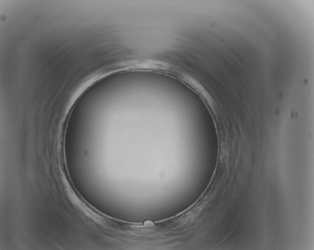 X0000083011483200702161539