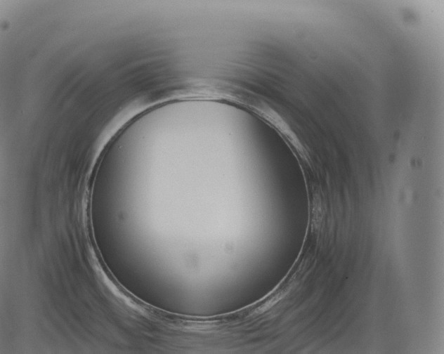 X0000083011484200702161539