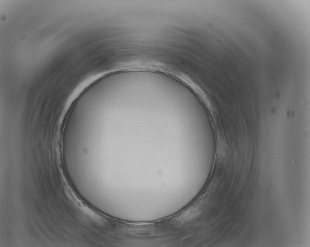 X0000083011486200702161539