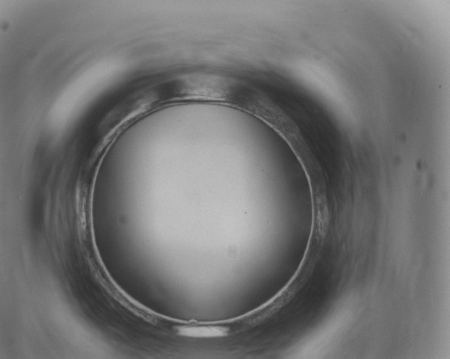 X0000083011487200702161539