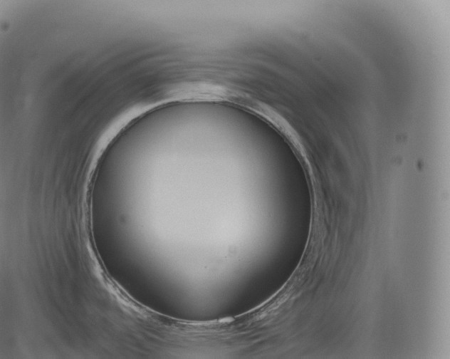 X0000083011488200702161539