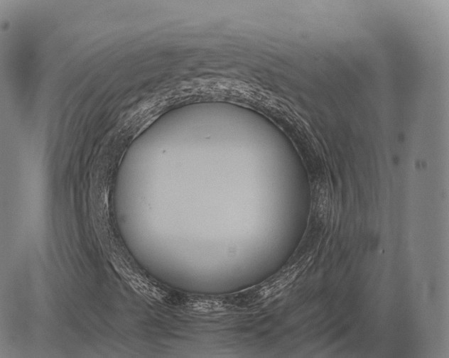 X0000083011489200702161538