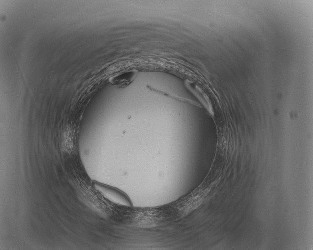 X0000083011490200702161538