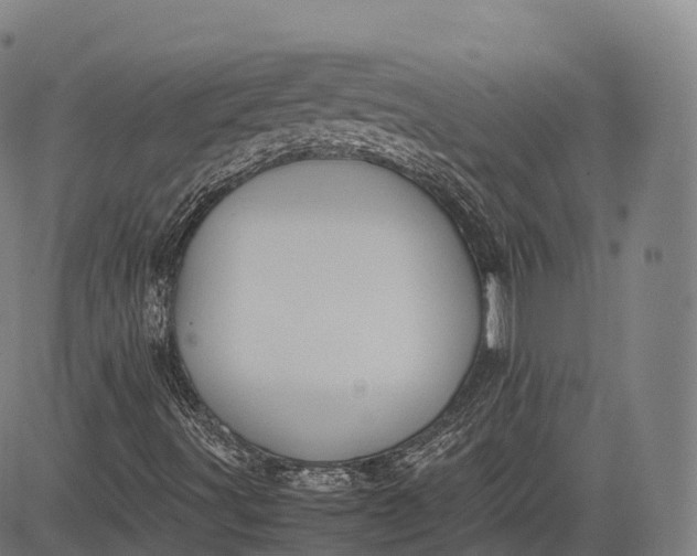 X0000083011491200702161538