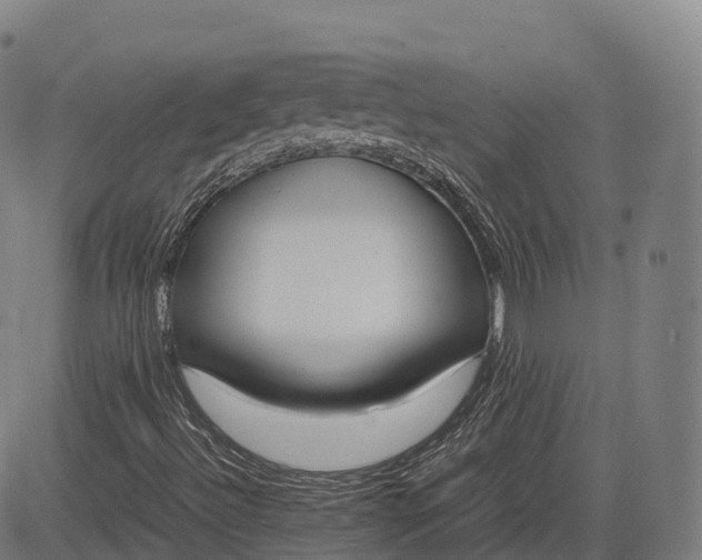 X0000083011492200702161538