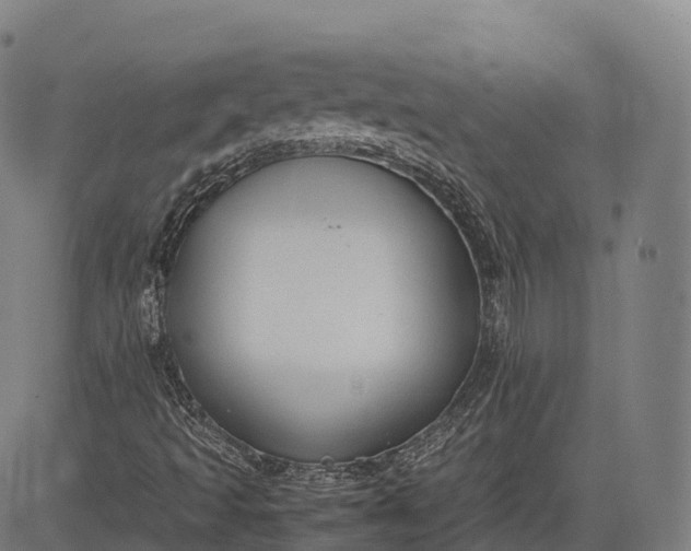 X0000083011493200702161538