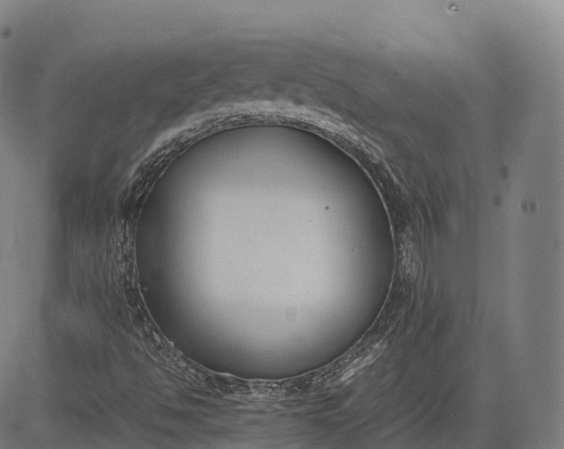 X0000083011494200702161538