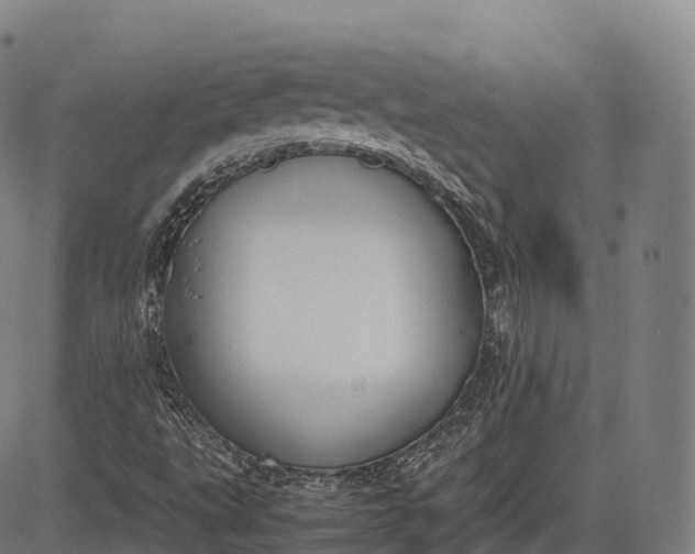 X0000083011495200702161538