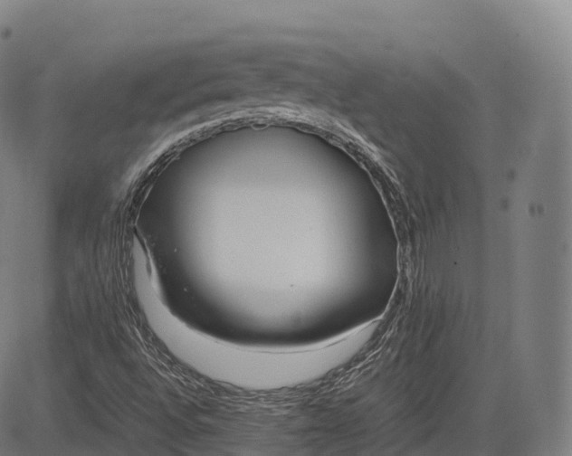 X0000083011496200702161538