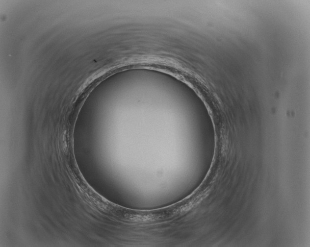 X0000083011497200702161538