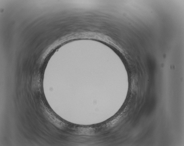 X0000083011498200702161538