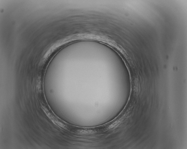 X0000083011499200702161538