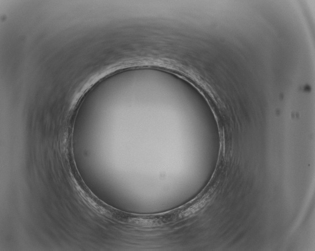 X0000083011500200702161538