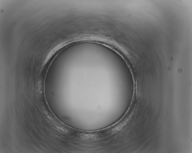 X0000083011501200702161538