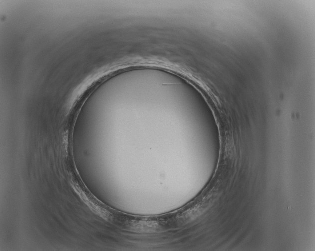 X0000083011503200702161538