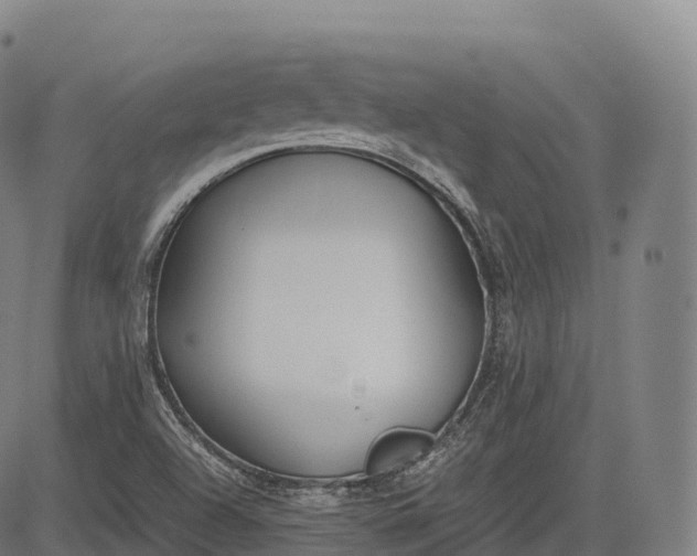 X0000083011504200702161538