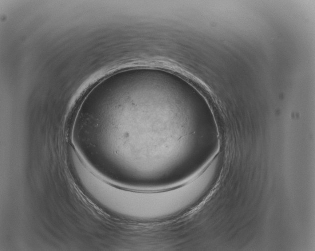 X0000083011506200702161538