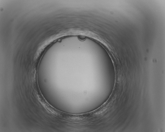 X0000083011507200702161538