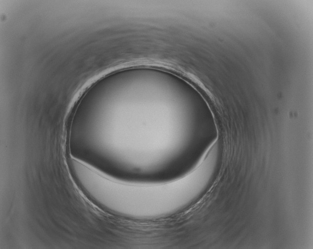 X0000083011508200702161538