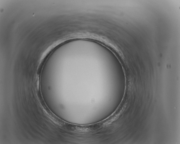 X0000083011509200702161538