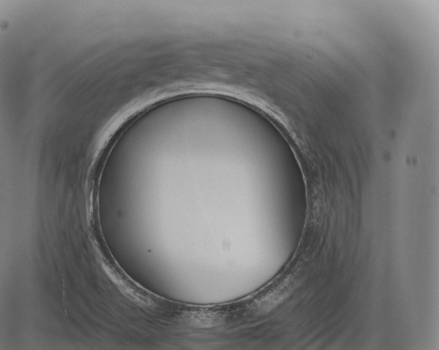 X0000083011511200702161538