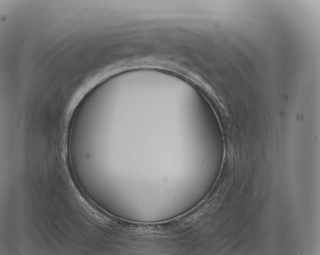 X0000083011512200702161538