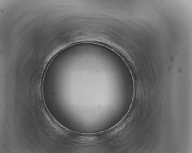 X0000083011513200702161538