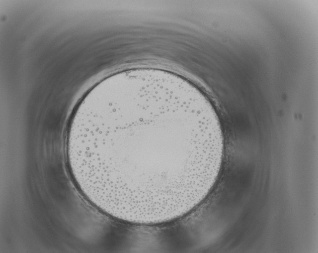 X0000083011514200702161538