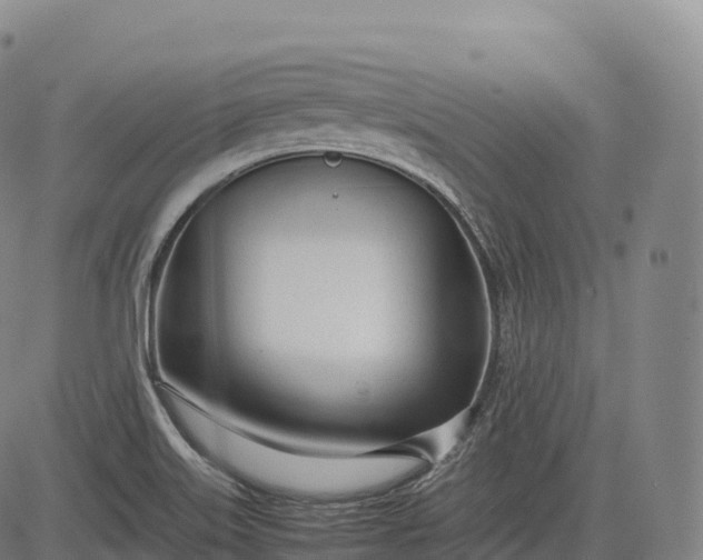 X0000083011515200702161538