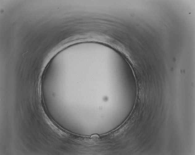 X0000083011516200702161538