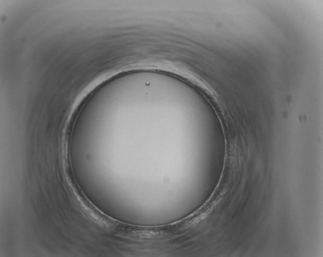 X0000083011517200702161538