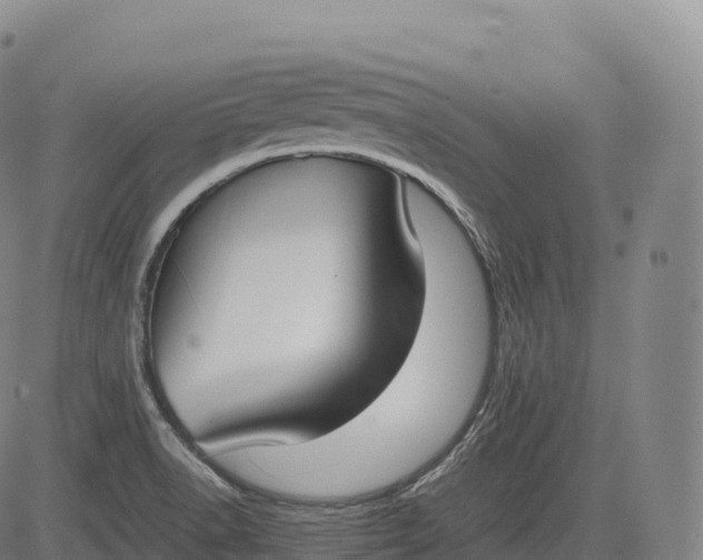 X0000083011518200702161538